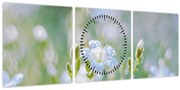 Tablou - Flori delicate (cu ceas) (90x30 cm)