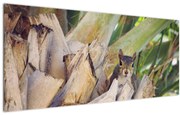 Tablou cu veverița în copaci (120x50 cm)