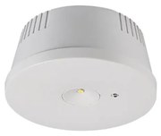 Corp de iluminat LED de urgență Sinclair NOH LED/3W/230V IK06