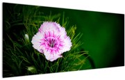 Tablou cu floare roz (120x50 cm)