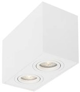 Corp aplicat cu 2 spoturi directionabile RENDE alb NVL-820602