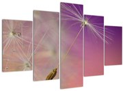 Tablou cu floarea norocul (150x105 cm)