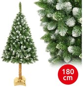 Pom de Crăciun pe trunchi 180 cm pin