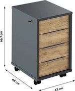 Dulap Birou RIOMA NEW TYP 30 Stejar Artisan/Grafit