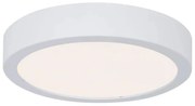 Plafonieră pentru baie LED/13W IP44 AVIAR 230V Paulmann 78923