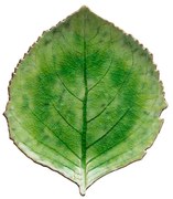 Farfurie din gresie ceramică Costa Nova Riviera, 19 x 22 cm, verde