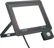 vidaXL Proiector LED cu senzor, 100 W, alb rece