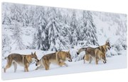 Tablou - Lupi în munți (120x50 cm)
