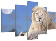 Tablou - Leu alb (150x105 cm)