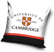 Cambridge husă pentru pernă 40*40 cm