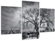 Tablou cu sat alb negru (90x60 cm)