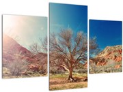 Tablou cu cu copac în deșert (90x60 cm)