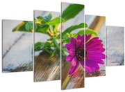 Tablou flori tăiate (150x105 cm)