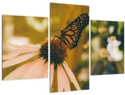 Tablou cu fluture pe floare (90x60 cm)