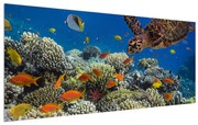 Tablou cu lumea submarină (120x50 cm), în 40 de alte dimensiuni noi