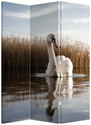 Paravan - Lebăda (126x170 cm)