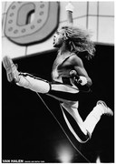 Poster Van Halen - David Lee Roth 1980