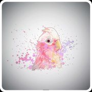 Pictura pe numere cu un cadru "Papagal" 50x40 cm