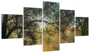 Tablou cu  răsărit de soare (125x70 cm), în 40 de alte dimensiuni noi