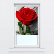 Fotojaluzele R013400R57150 (57x150 cm)