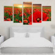 Tablou Multicanvas 5 Poppy Field - 150X80 cm 150X80 cm