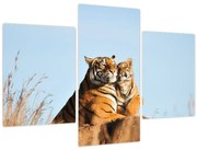Tablou - Tigroaica cu pui (90x60 cm)