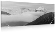 Tablou natura iarna alb-negru