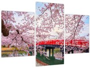 Tablou - Hirosaki, Japonia (90x60 cm)