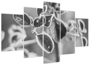 Tablou - Natura în toamnă (150x105 cm)