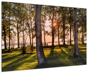 Tablou cu pomi lângă lac (90x60 cm)