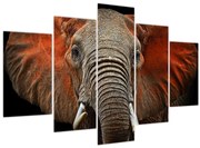 Tablou - Elefanți cu Tsavo (150x105 cm)