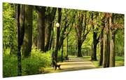 Tablou cu alee în parc (120x50 cm), în 40 de alte dimensiuni noi