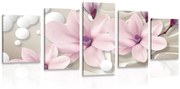 Tablou 5-piese magnolia pe un fundal abstract