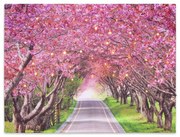 Pictură murală,străduțe înflorite de copaci,40LED,30 x 40 cm