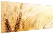 Tablou- detaliu cu (120x50 cm)