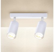 Spot Brilagi SELE 2xGU10/30W/230V alb