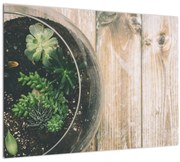 Tablou - Terariu de sticlă (70x50 cm)