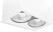 Brosline 1081 - Lampă spot CAGE 2xGU10/10W/230V, albă