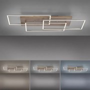 Lustră LED aplicată dimabilă PALMA 3xLED/12W/230V Paul Neuhaus 8330-79 + telecomandă