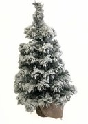 Pom înzăpezit în iută, Tiga, 50 cm, 50 cm