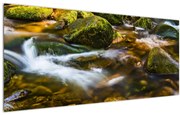Tablou cu părâu (120x50 cm)