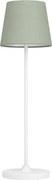 Eglo 75936 - Lampă de birou LED reîncărcabilă cu dimmer LEONERO LED/3,8W/5V 2000 mAh alb/verde