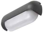 Aplica de perete exterior IP65 LED Hulst