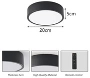 Brilagi - Lampă LED dimabilă pentru piscină POOL LED/18W/230V 3000-6000K 20 cm negru + telecomandă