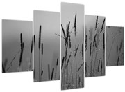 Tablou - Lamele de iarbă (150x105 cm)