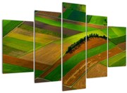 Tablou - Lan, luncile (150x105 cm)