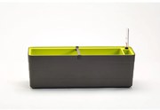 Ghiveci cu auto-irigare Berberis 60, antracit + verde, 60 cm
