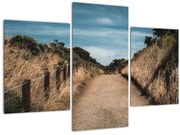 Tablou - Pe potecă (90x60 cm)