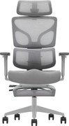 AEROFORM PRO – Scaun Ergonomic Premium, Suport Lombar cu arc, Cotiere 3D, Tetieră reglabilă, Șezut Glisant, Suport pentru picioare extensibil, Gri