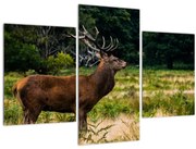 Tablou cu cerb (90x60 cm)